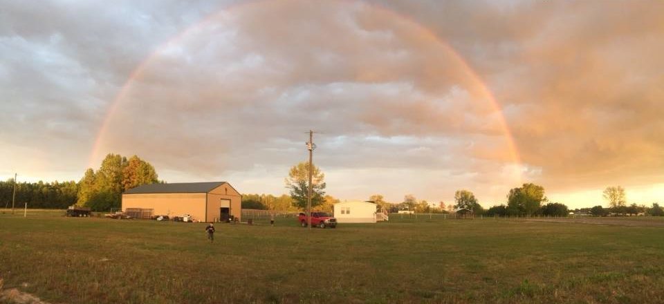 rainbow barn